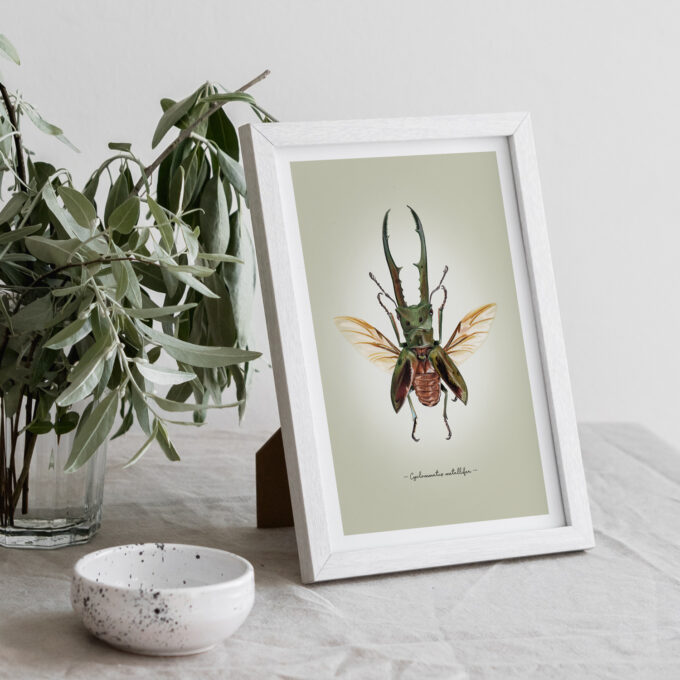 Metallic Stag Beetle Fine Art Giclée print - Cyclommatus metallifer - Image 2