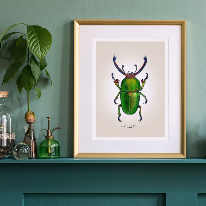 Green Stag Beetle Fine Art Giclée Print - Lamprima adolphinae - Image 2