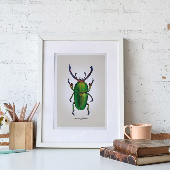 Green Stag Beetle Fine Art Giclée Print - Lamprima adolphinae - Image 6