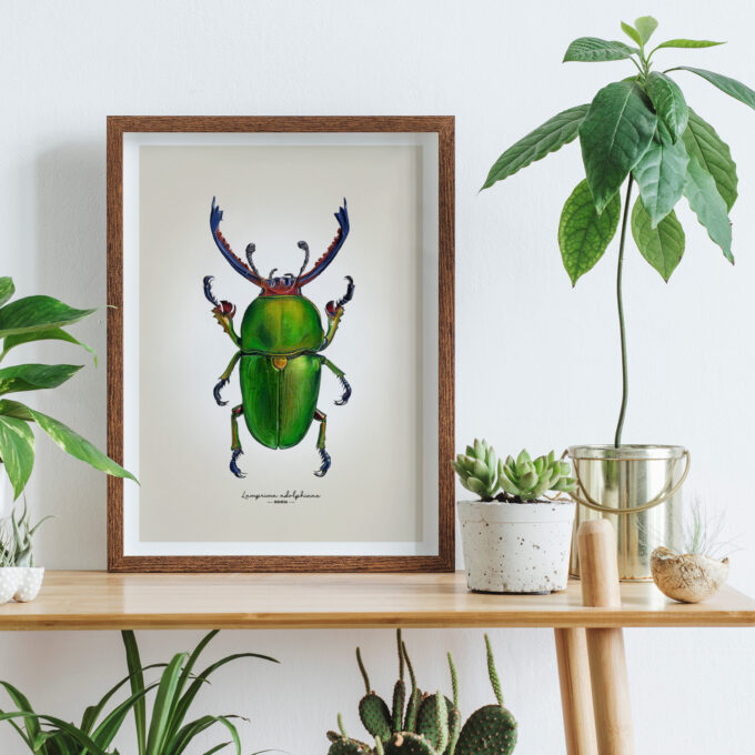 Green Stag Beetle Fine Art Giclée Print - Lamprima adolphinae - Image 4