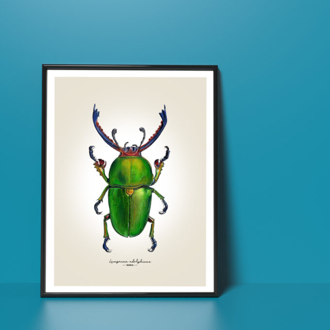Green Stag Beetle Fine Art Giclée Print - Lamprima adolphinae - Image 5