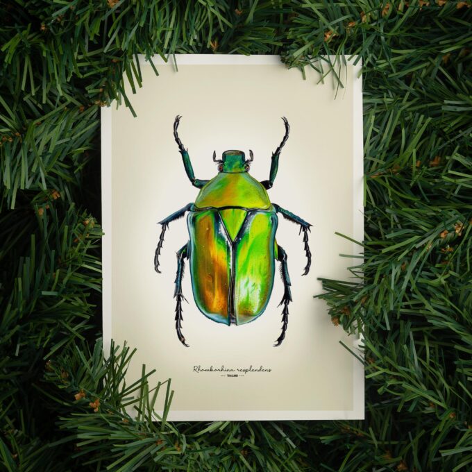 Green Flower Beetle Fine Art Giclée Print - Rhomborhina resplendens - Image 6