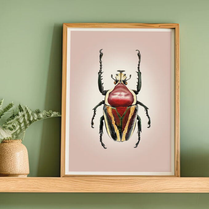Derby's Flower Beetle Fine Art Giclée print – Dicronorhina derbyana - Image 4