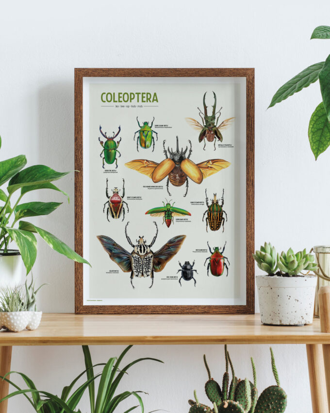 Coleoptera Art Poster: A Celebration of Beetles - Image 2