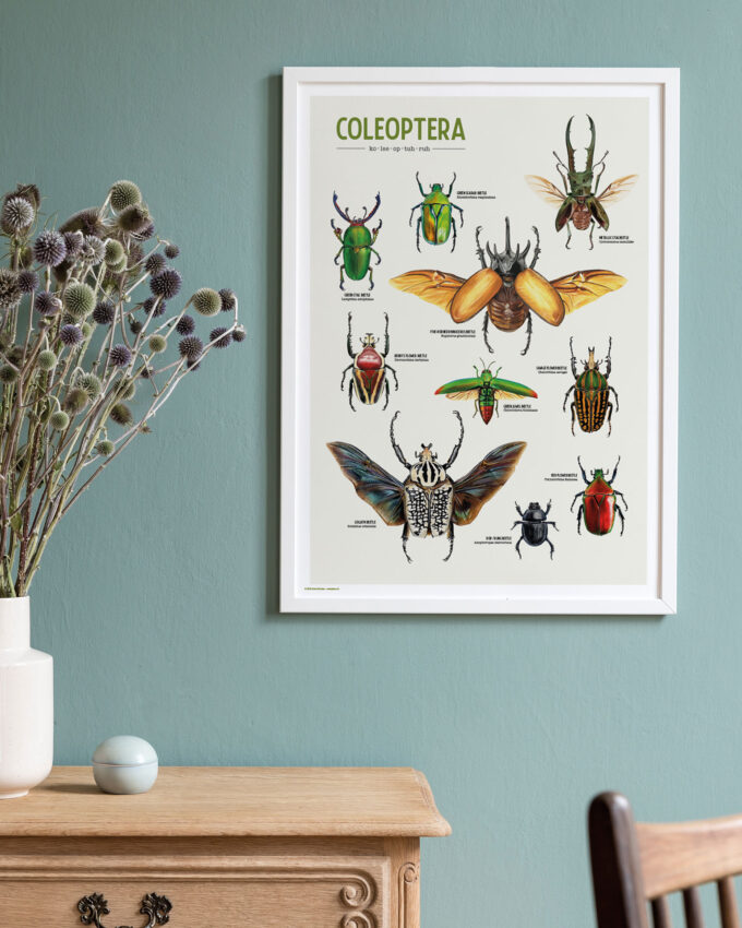 Coleoptera Art Poster: A Celebration of Beetles - Image 4