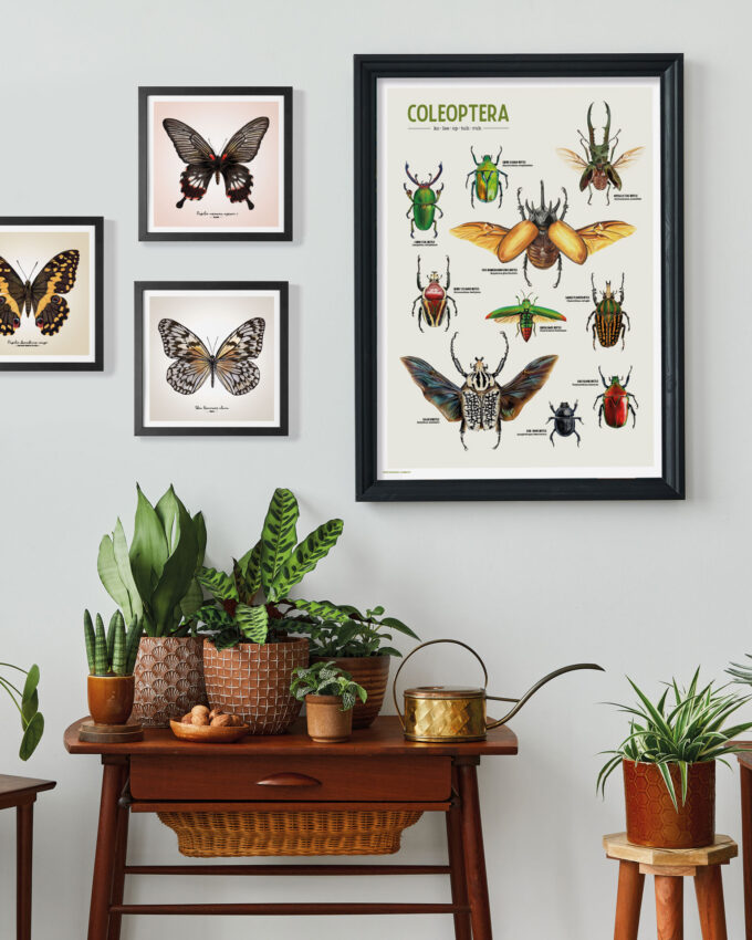 Coleoptera Art Poster: A Celebration of Beetles - Image 5