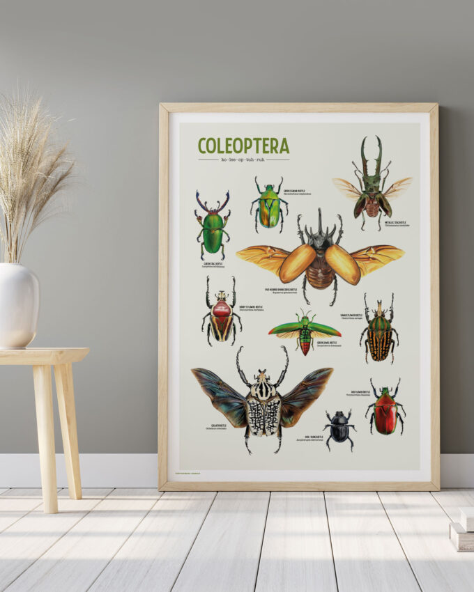 Coleoptera Art Poster: A Celebration of Beetles - Image 6