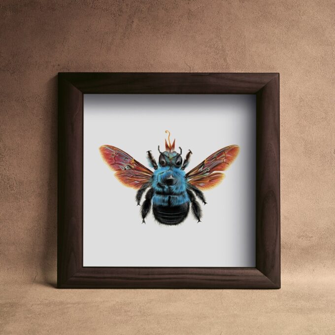 Blue Carpenter Bee Fine Art Giclée print – Xylocopa caerulea - Image 6