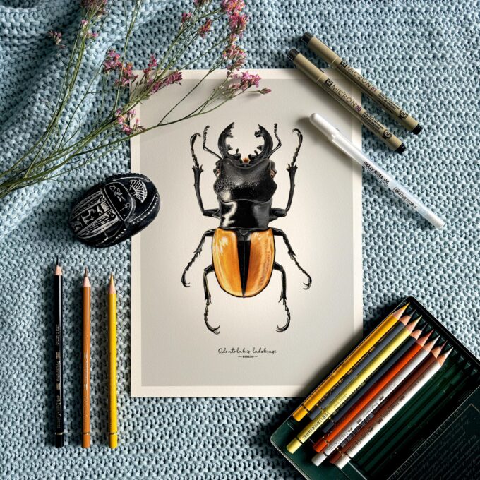 Stag Beetle Fine Art Giclée print – Odontolabis ludekingi - Image 2