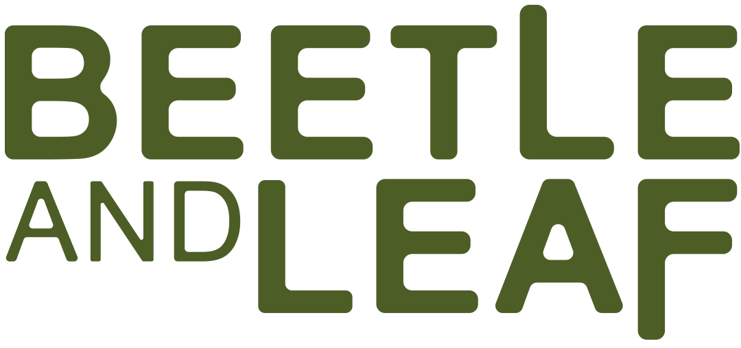 Beetle and Leaf